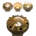 9.1 W 2700K/3900K/4500K/5200K LED Bronze Metallic Zoning/Dimming/Color Wall Light | FXLFCZDCGW090BZ