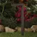 2.5 W LED Black Landscape Series Path Light | VISPR6570BWLB2ND