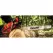 18.8" x 9.8" x 12.7" 12800 rpm Chainsaw | ECHCS7310P28