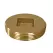 2" MNPT 2-3/8" Brass Southern Code Countersunk Plug | JSCP51200