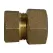 3/4" Type T CTS Compression x FNPT Lead-Free Brass Straight Adapter | MCD74754T34
