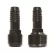 3/4" x 1/2" MIPT x Barb 80 psi Acetal FPA-Series For 1/2" Polyethylene Tubing Schedule 40 Pipe Flexee Pipe Adapter | NDSFPA0750
