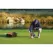 360 Degrees For Green Area Hole Painter | PAR910