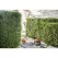 1.5 cu-in 1.2 bhp 145 Degrees Head Hedge Trimmer | STIHL94K145