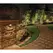 GU5.3 Painted Cast Brass Odyssey Series Niche Light | UNIGEMINLP