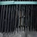 16' x 6" x 1/8" Black Steel with 6 Pins Landscape Edging | EDG18616B