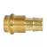 2" Press x PEX Lead-Free DZR Brass Adapter | WEBH16807W