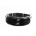 Rain Bird Polyethylene Distribution Tubing 100' Coil | X35100