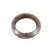 Dripline, 100' 0.9 gph 12" Space Brown