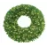 HBL LED 3D Olympia Pine Wreath 48", Warm White | OLWR-48-WW