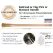 Mattock Handle, 36" American Hickory Wood Clear Lacquer Contractor Grade