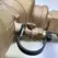 Vacuum Breaker Assembly, 1-1/2"FNPT Cast Bronze 150 psi 720A Series Pressure