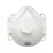 Particulate Respirator | 80101