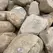 Creekrock Medium Rounds | STO3050