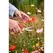 Floral Scissor, Stainless Steel Blade | FS 3394