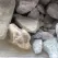 Crushed Stone Base - Per Scoop