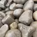 Creekrock Small Rounds | STO3030