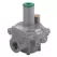 Pietro High Capacity NG Regulator with Filter & Vent Limiter 1740K Max Capacity 1/2" | F31150-1BP