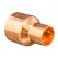 Copper Fitting Reducer 1-1/2" X 1/2" | 2041