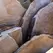 SUNRISE - FLAGSTONE - STANDUP SELECT 1" TO 2" - PER TON