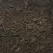 Organic Compost | ORGCOMPOST