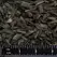 BLACK MINI MULCH