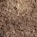 Walnut Designer Mulch | WALNUT