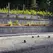 BELGARD MELVILLE TANDEM WALL RIO 1 LAYER 11.68 SF/ 1 PALLET 70.1 SF- 6 LAYERS -- RIO 7" X (13",15",18")