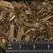 ARBOR MULCH