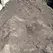 NBB Enriched Top Soil Per Yard