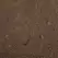 Top Soil - Per Yard | TOPSOILYARD