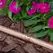 Rainbird XFS-CV 1/2" Sub-Surface Dripline, 12", 0.4 gph, 500' | X49002MX