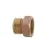 Aqualine Hose Fitting MHT x FPT | HPF15C