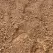 Fill Dirt - Per Scoop