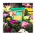 Gaia Green Organics All Purpose, 2 kg Pouch