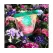 Gaia Green Organics Power Bloom, 500 g Pouch