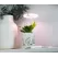 SunBlaster Halo 360 LED Plant Light, w/ USB Adaptor and Timer