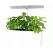 SunBlaster Nano Growlight Garden, w/ LED Grow Light, Timer and Adapter