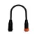 ThinkGrow AWG