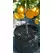 Air-Pot Container #5 (3.3 gal/12.3 L, green base), case of 12