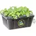 oxyCLONE PRO Series 20 Site Cloning System