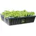 oxyCLONE PRO Series 80 Site Cloning System