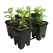 Active Aqua Grow Flow 2.0 Expansion Kit w/six 5 gal Square Pots