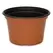 DLN 08.00X05.00 MUMPAN COEX TC/BLK 170/CS 45CS/PL