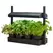Growlight Garden Micro Black