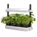 Growlight Garden Micro White