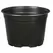DLN 17.00 CM EURO POT COEX SHORT BLK 300/CS 32CS/P