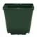 DLN 04.50 SQUARE QUICK LOCK POT WITH WAVE LOCK TAG SLOT GREEN, 660 PER CASE, 40 CASES PER PALLET, 4.25in OD x 3.835in H, 1.6 Pint, .752 Liter