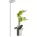 Gardener Select 2" Flower Support with 24" Leg Green