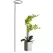 Gardener Select 2" Flower Support with 36" Leg Green